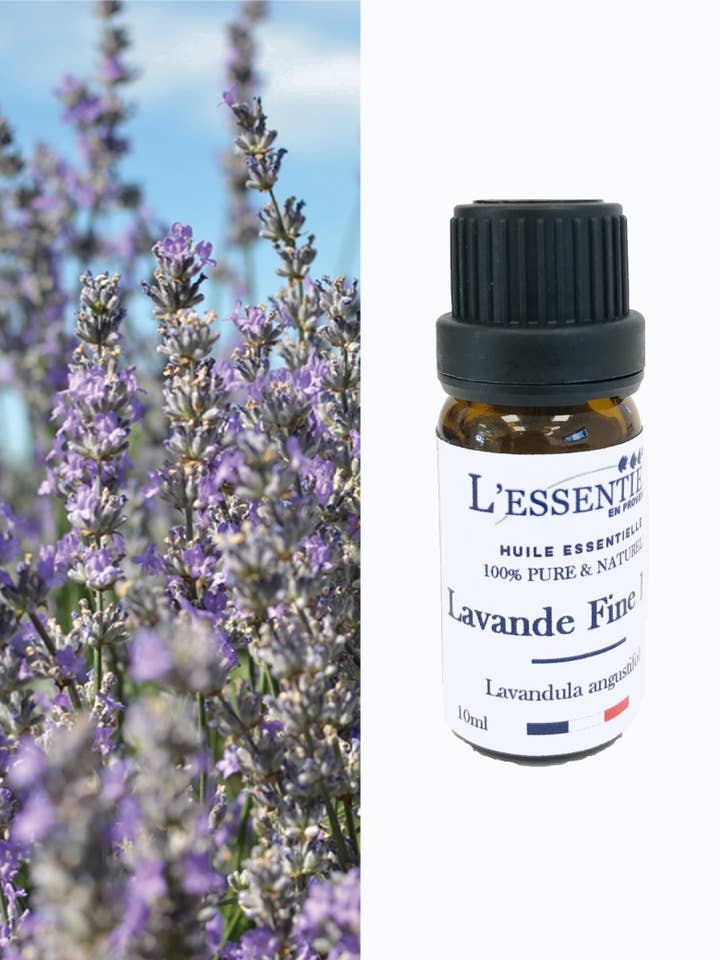Óleo essencial orgânico de lavanda fina por atacado de L'essenstiel en Provence