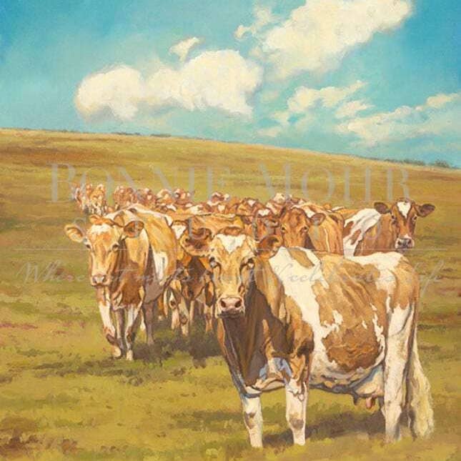 Bonnie Mohr Studio - Wholesale Everyday Greeting Card - Card - Creation of the Cow - Guernsey1
