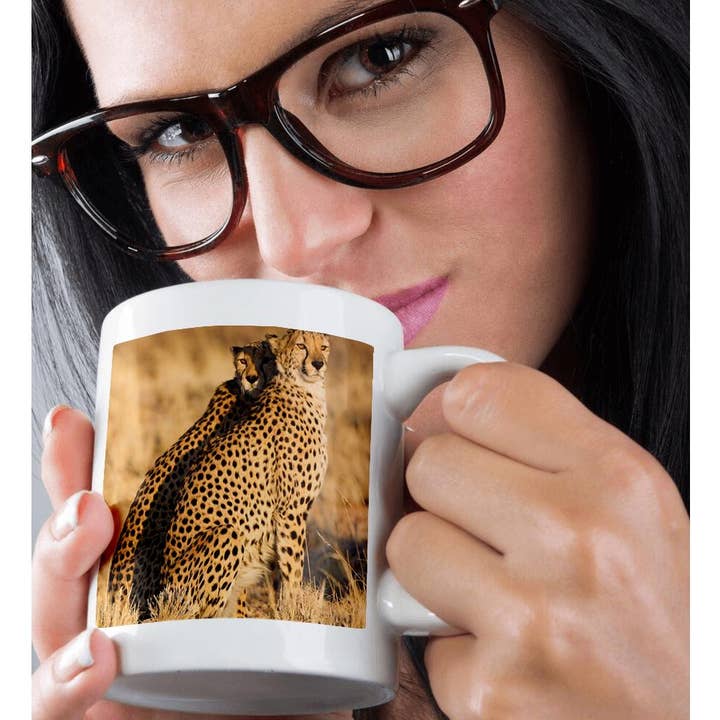 3dRose - Wholesale Coffee Mug - 3dRose, Cheetah, Acinonyx jubatus. Two males. Namibia., Mug9