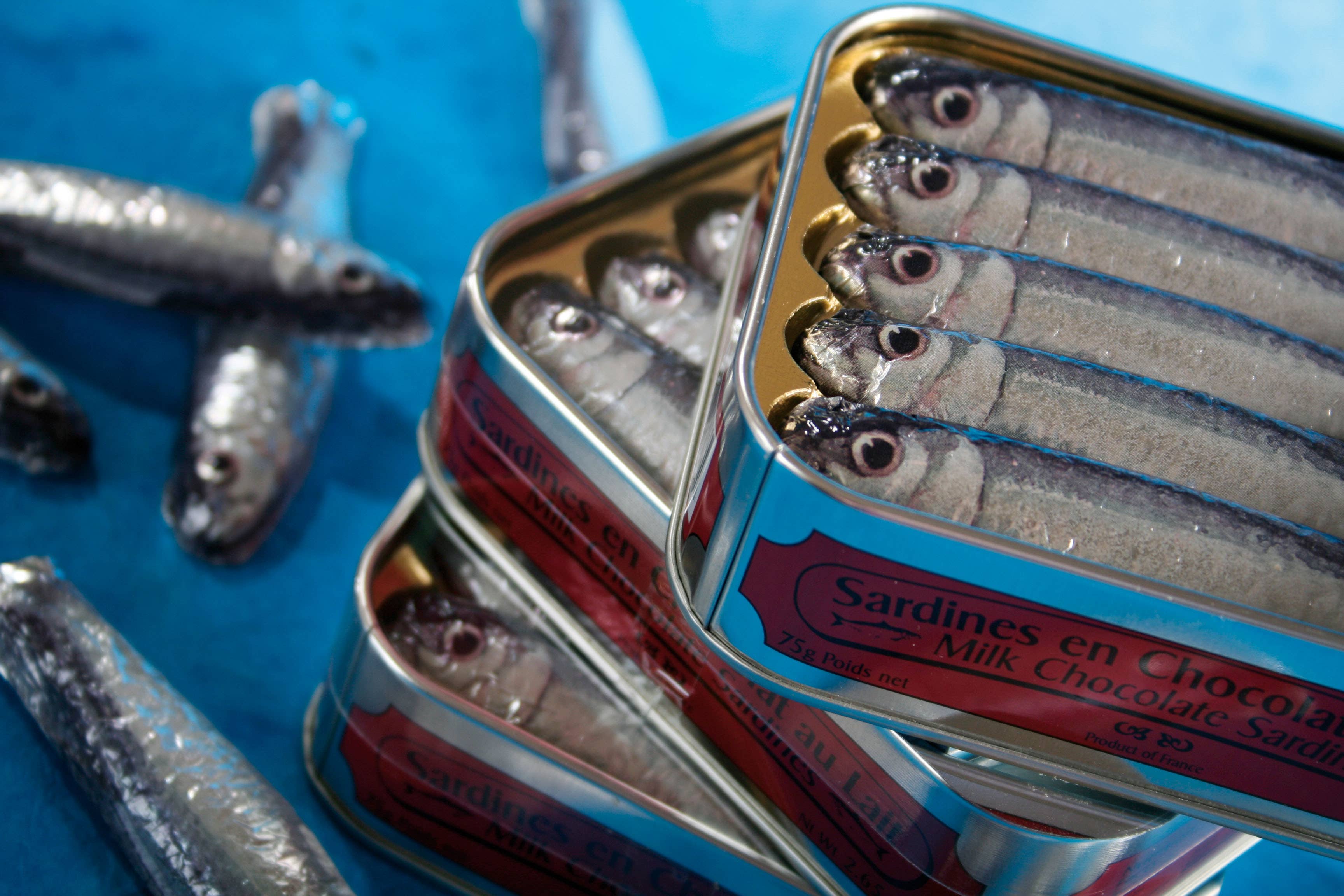 Cluizel USA - Wholesale Chocolate - Chocolate Sardines, 53