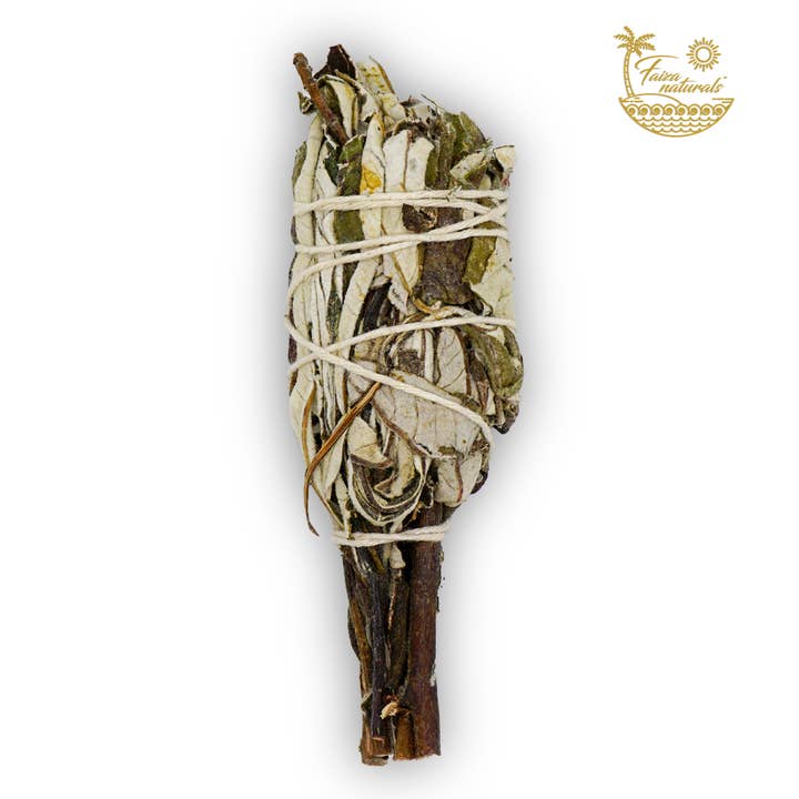 Faiza Naturals - Vendita all'ingrosso Salvia - Torce Yerba Santa1