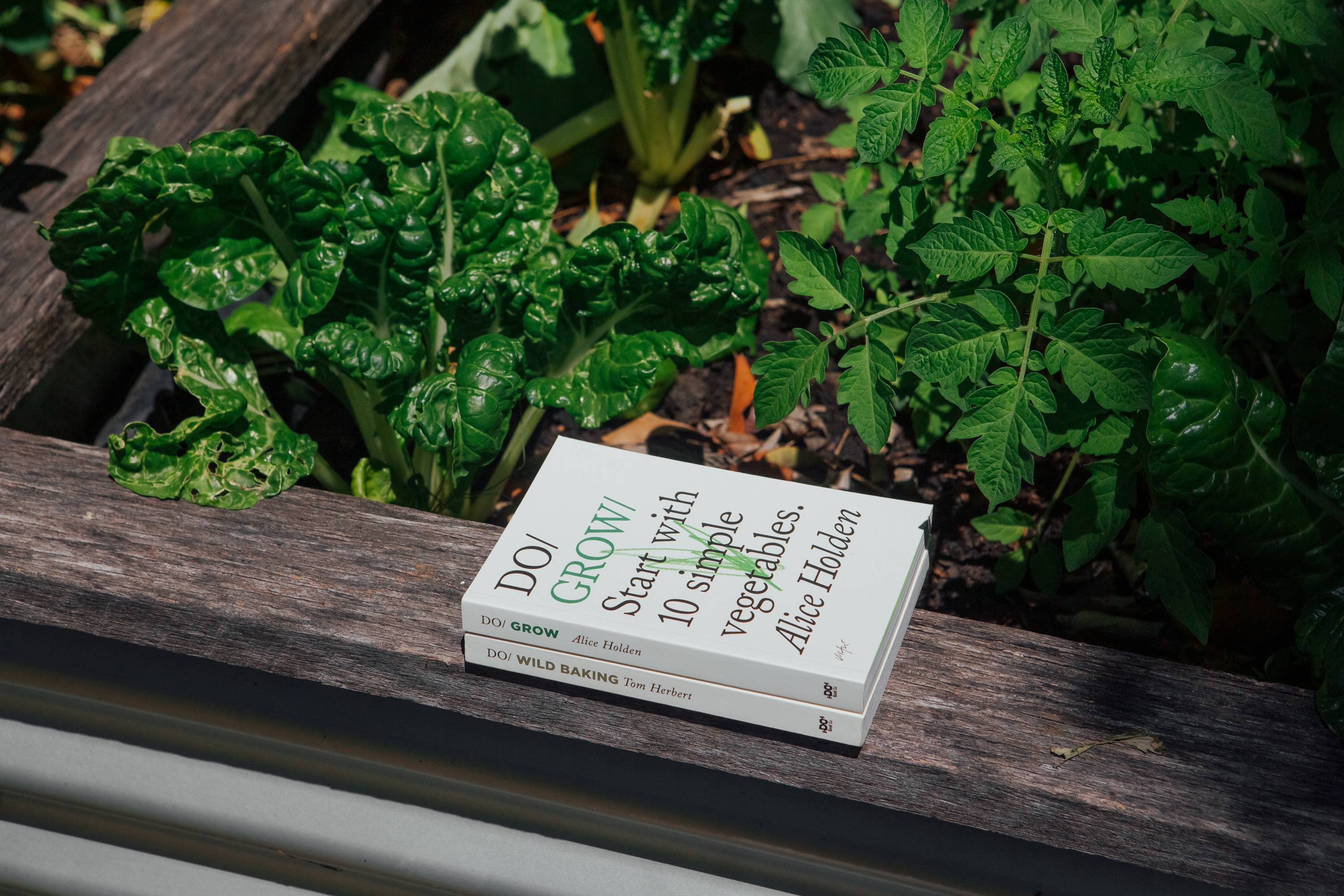 Do Books - Wholesale Home & Garden Book - Do Grow, Guide to Growing Vegetables 6