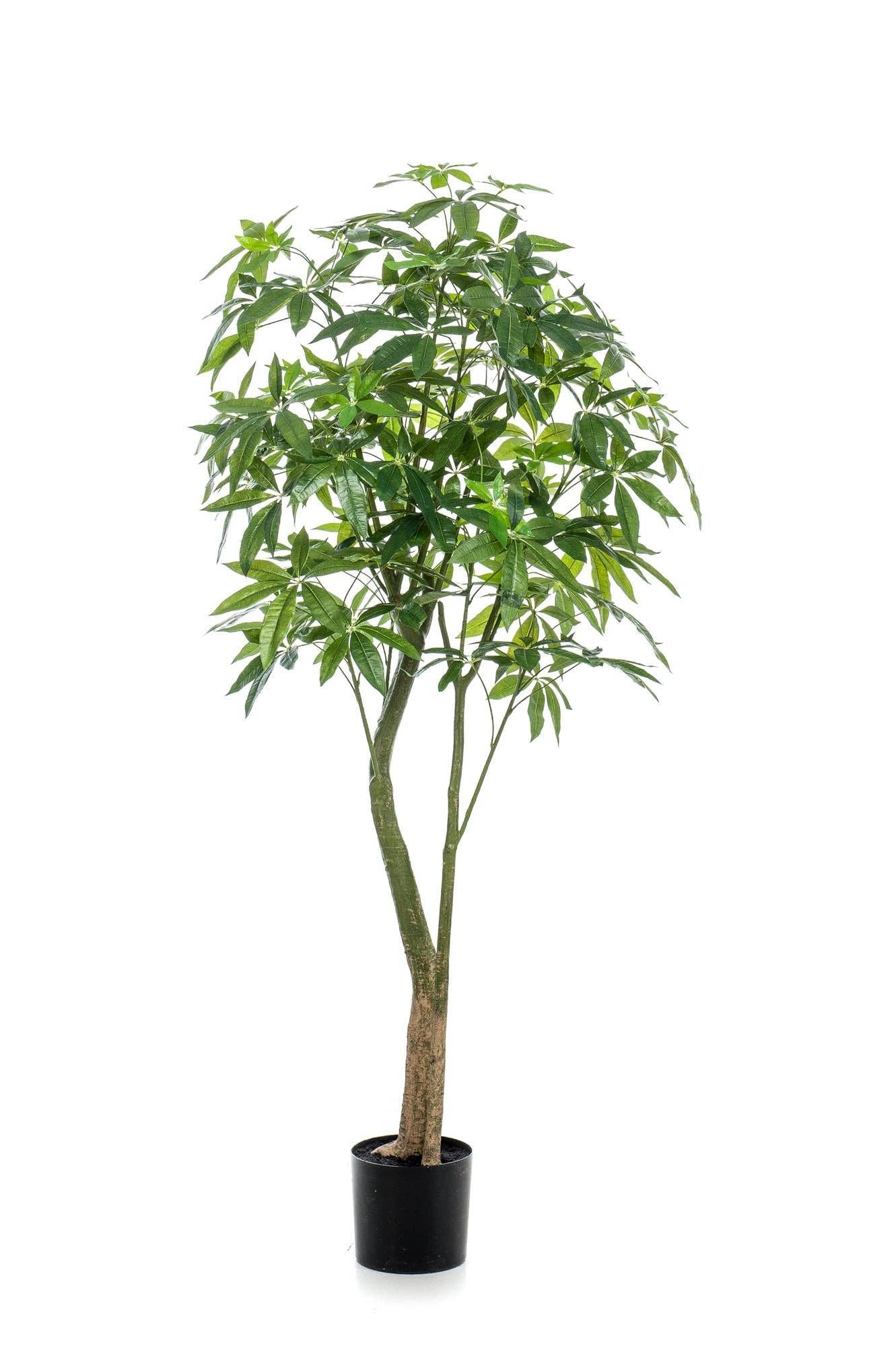 Oasis of Life - Wholesale Artificial Plant - Artificial Plant Pachira Aquatica β Money Tree 180cm β Deceptively Realistic with Shiny Leaves & Double Trunk β Maintenance-Free Artificial Tree for Home & Office
