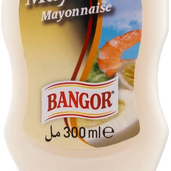 Alminter - Wholesale Mayo - MAYONNAISE UPSIDE DOWN 300ML BOX 10 UNITS