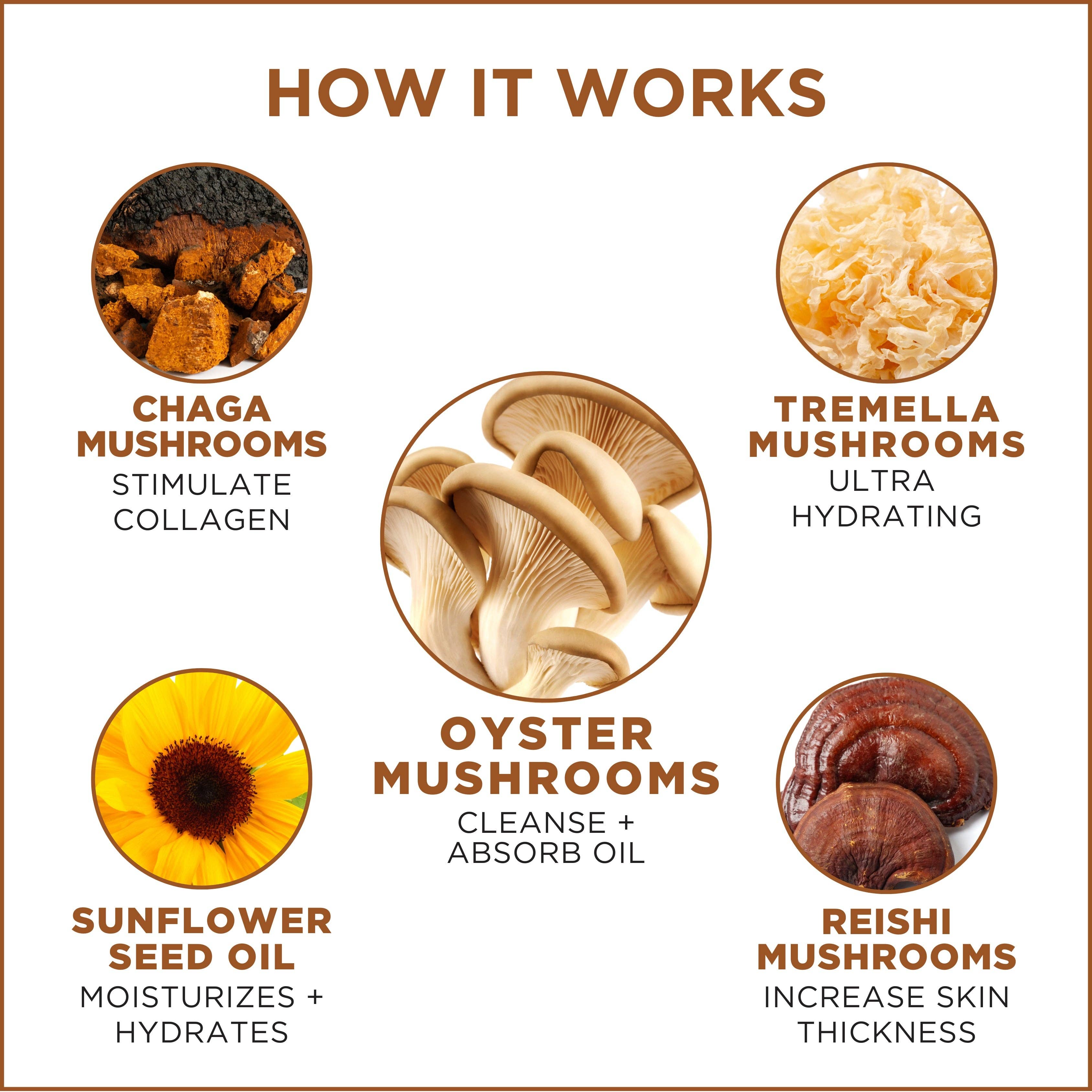 HEAR ME RAW - Wholesale Facial Cleanser - Good Clean Fungi Gentle Scrubbing Cleansing Balm- Refill Pod3