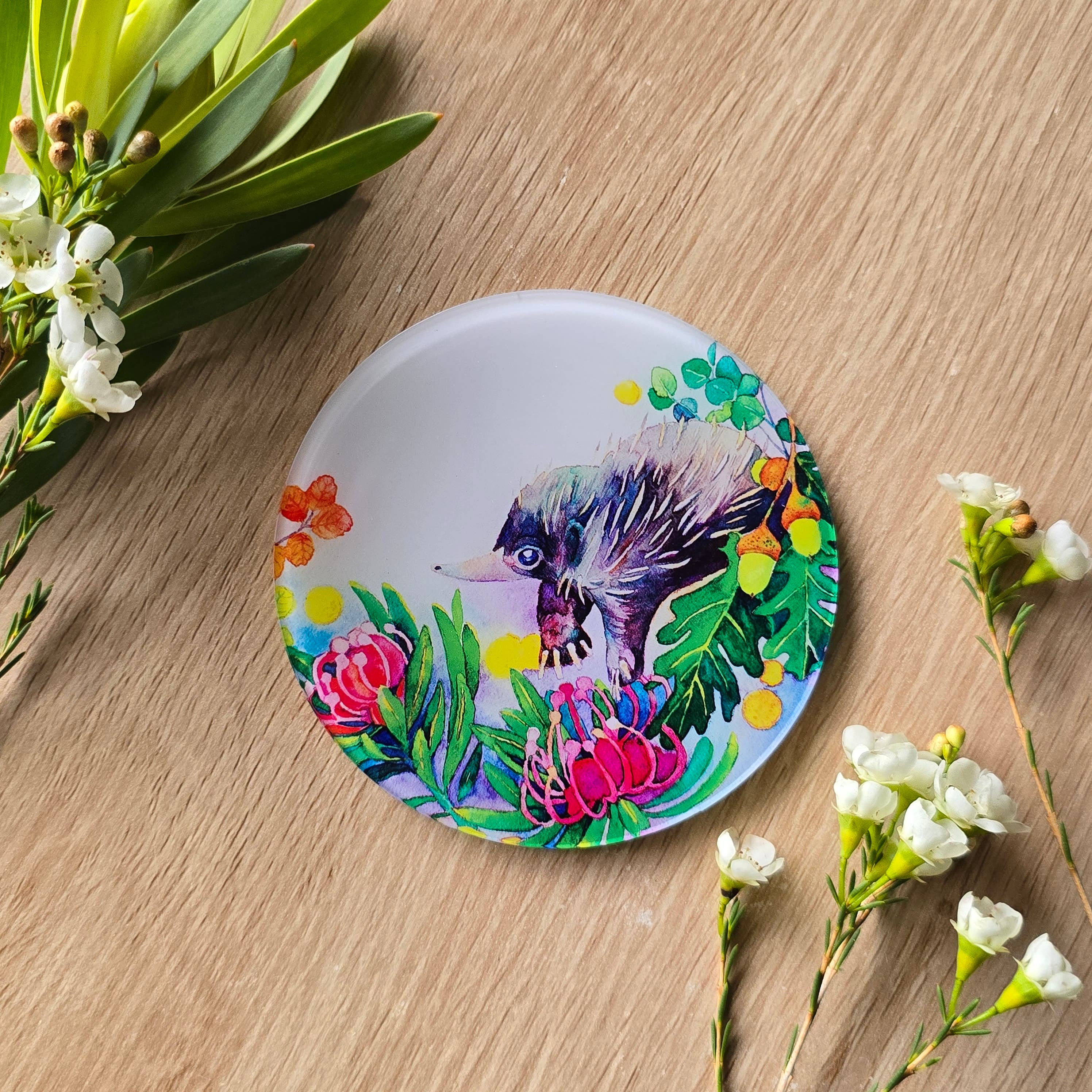 Watercolour By Cat - Wholesale Coasters - Australian Animal Art Coaster4