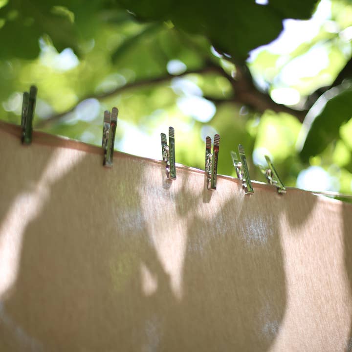 Pincinox – Großhandel Kleiderklammern – Pincinox Wäscheklammern Beutel mit 20 Stück6