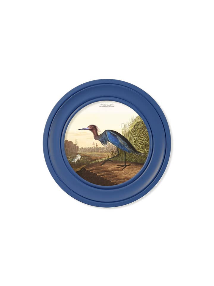 c.1838 Audubon's Blue Heron in Blue Frame for wholesale by T A Interiors Wall Art & Mirrors