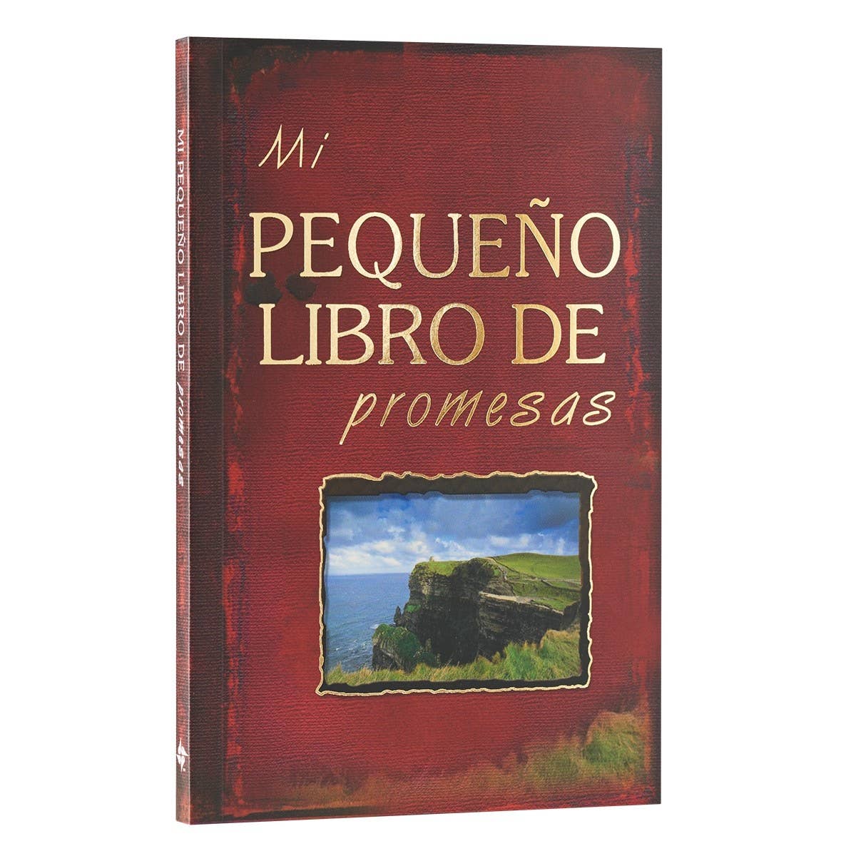 Christian Art Gifts - Wholesale Religion - Mi pequeno libro de promesas3