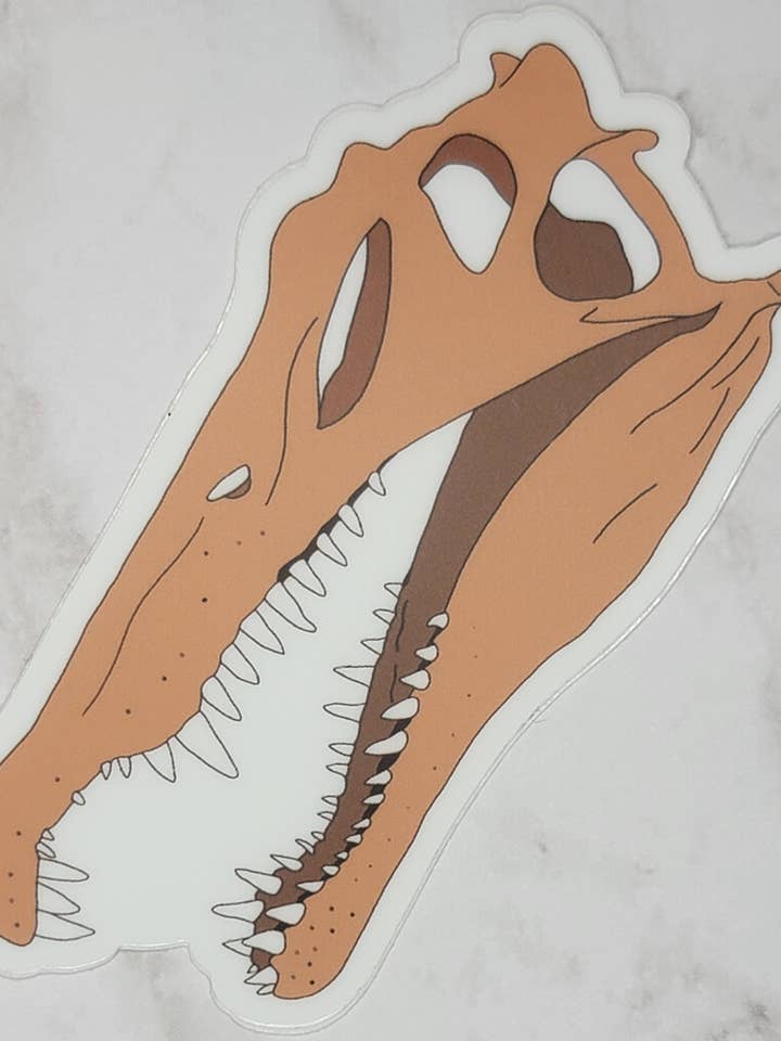 Spinosaurus Sticker for wholesale by Kingdom Animalia