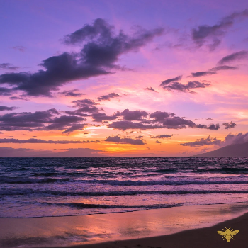 A Scent Story Candle Co - Wholesale Jar/Filled Candle - Fated Lovers -  Bookish Candle | Book Themed Candle, 4 oz3