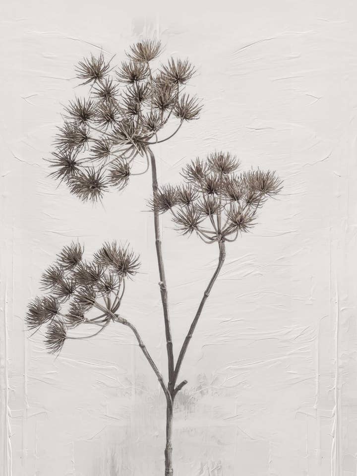 Tuinposter Berenklauw W09 voor wholesale door Nino-Art