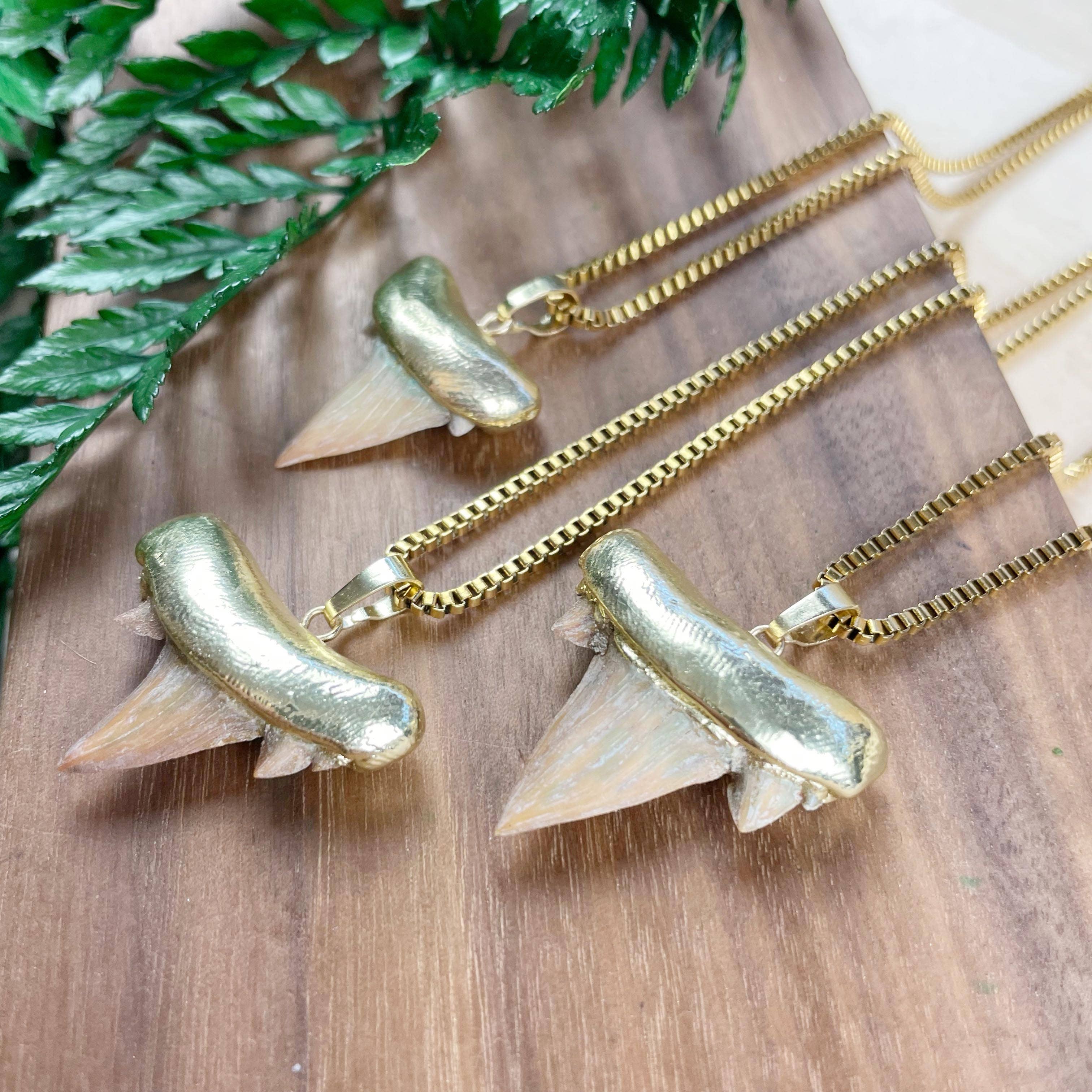 Ewelina Pas Jewelry – Engroshandel Halskæde med vedhæng – Halskæde med guldbelagt hajtand4