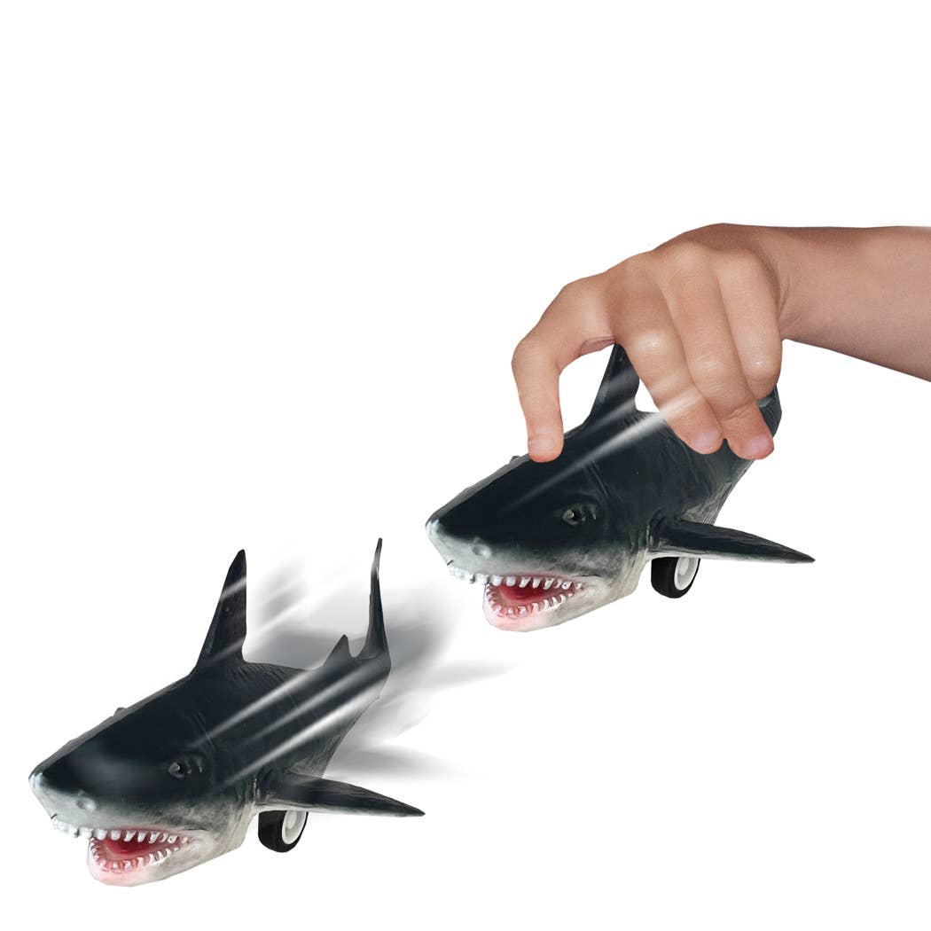 Deluxebase - Wholesale Toy Car/Truck - Kids - Replica Racers - Great White Shark, Pull-Back Vehicle2