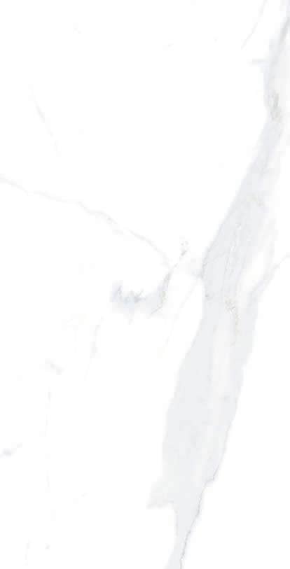 Thomas Avenue Ceramics - Wholesale Wall Tile - 12"x24" Porcelain Calacatta Cool Floor and Wall Tile3