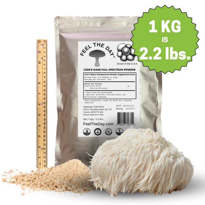 Lion's Mane mushroom powder supplement 1kg for wholesale by Feel The Day® Mushroom Supplements
