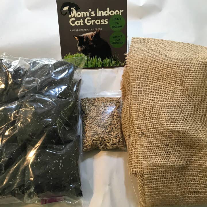 Refill for 10”x10” planter for wholesale by Mom’s Indoor Cat