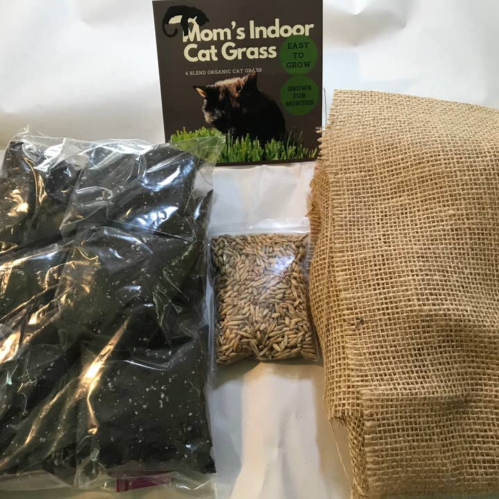 Refill for 10”x10” planter for wholesale by Mom’s Indoor Cat