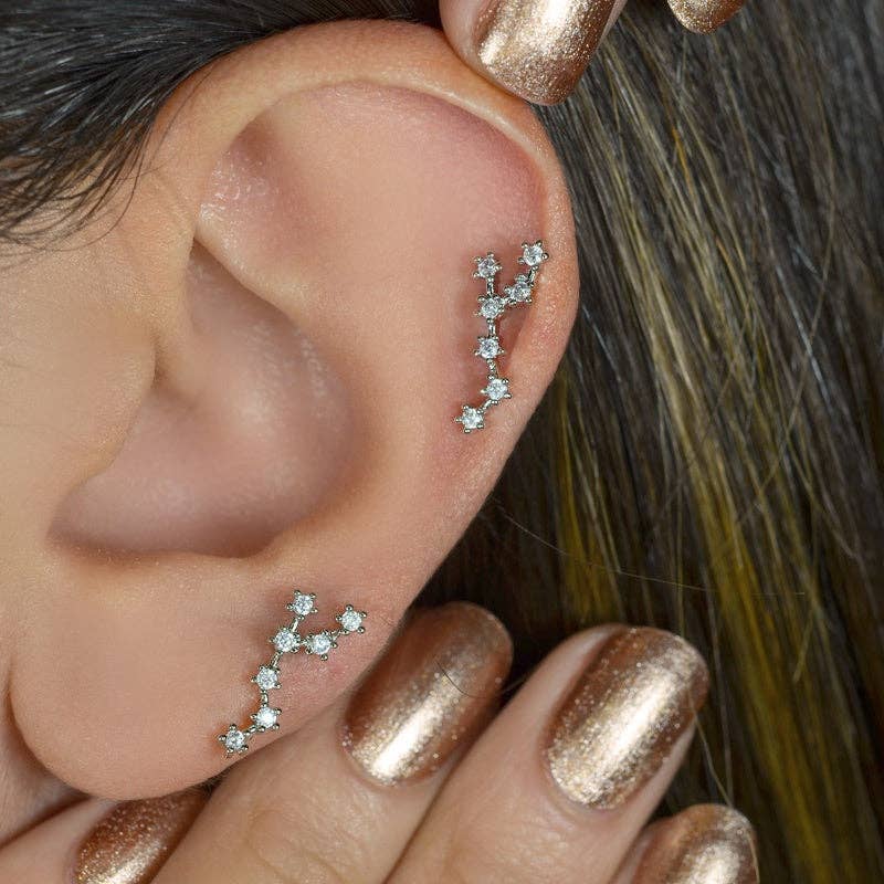 StockJWL - Wholesale Stud/Post Earrings - 12 Zodiac Earrings, Constellation Stud Earring Stud Piercing Tragus Helix Lobe and Cartilage Silver And Gold37