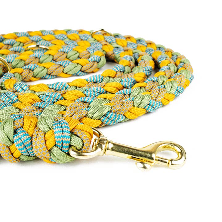 summertime Dog leash Tierluxe Wave for wholesale on Faire2