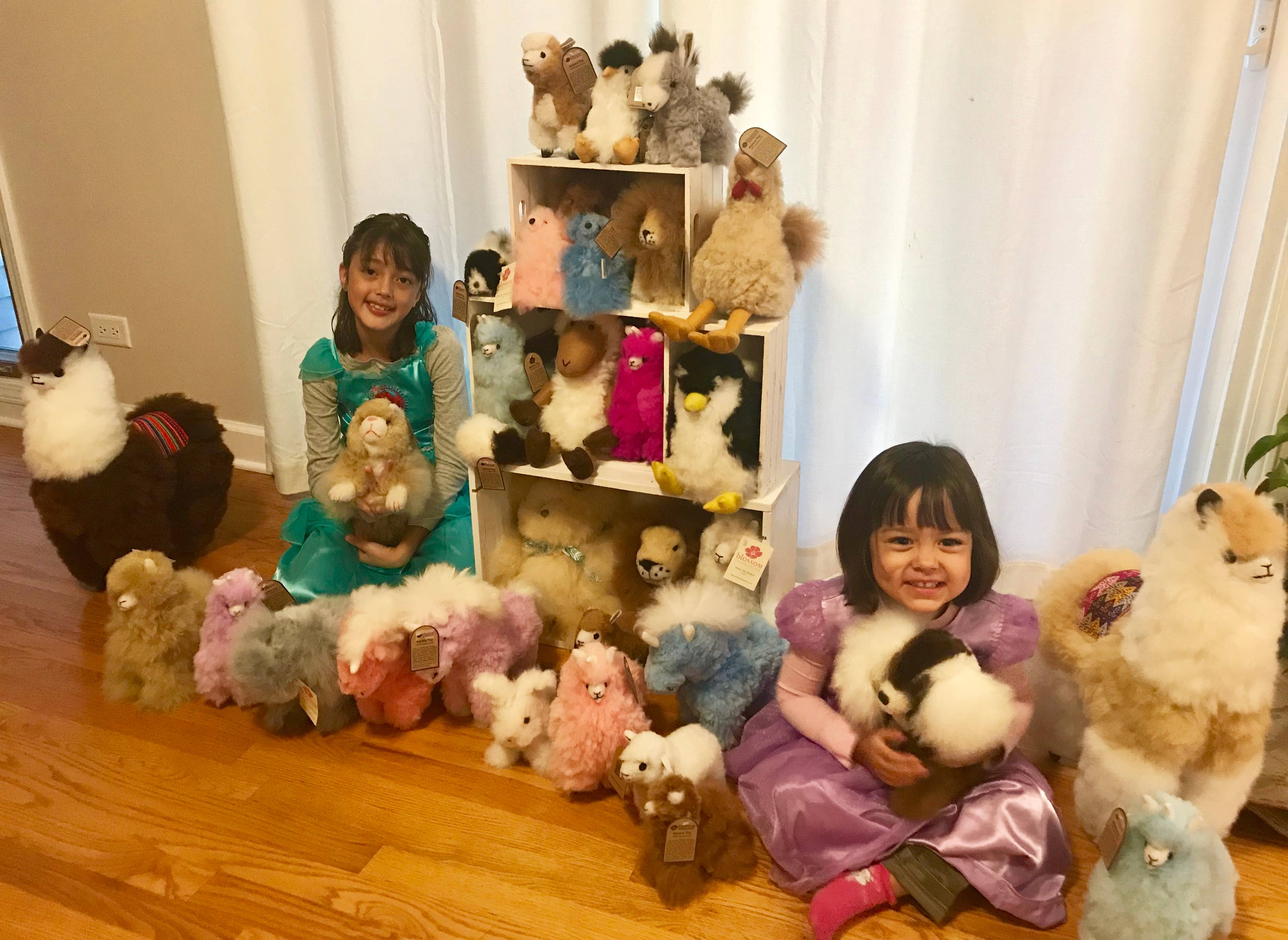 Blossom Inspirations - Wholesale Stuffed/Plush Toy - Kids & Baby - Doggie Alpaca Fur Toy1