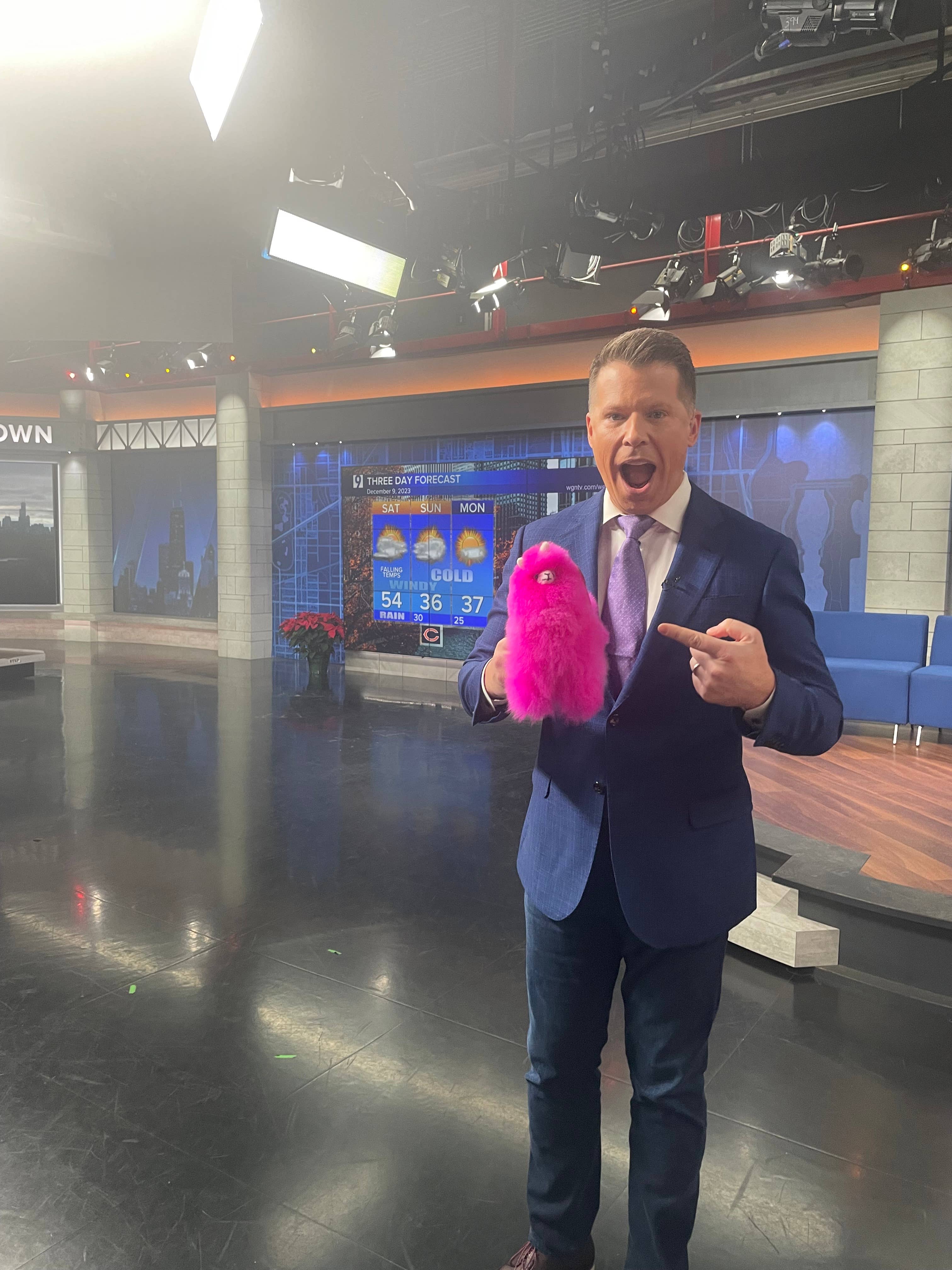 Blossom Inspirations - Wholesale Stuffed/Plush Toy - Kids & Baby - Llamacorn Alpaca Fur Toy24