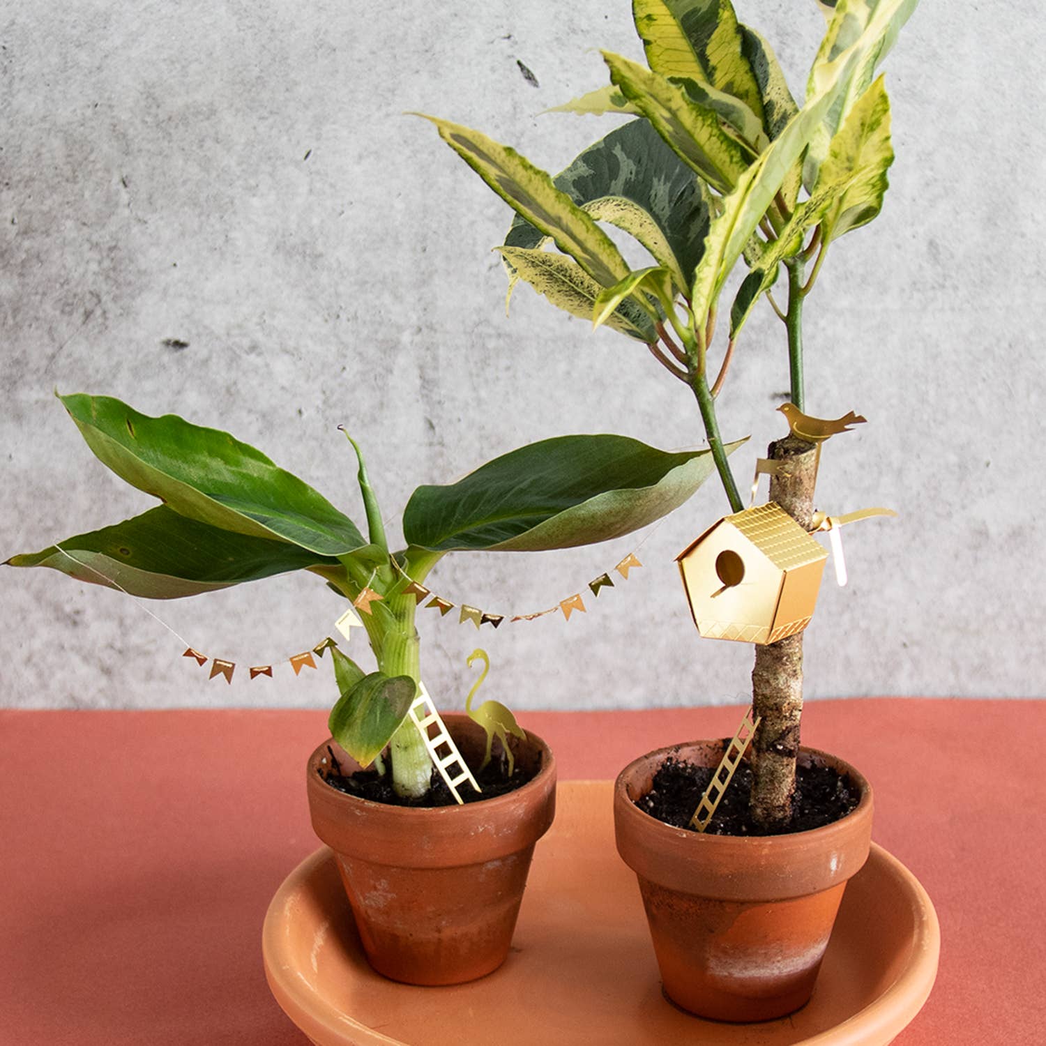 Botanopia - gifts , decor and cards for plant lovers – Engroshandel Fuglehus – Lille fuglehus til dine planter3