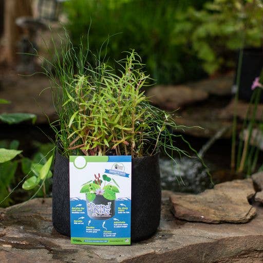 Smart Pots - Wholesale Plant Pot - Pond Pots 10 Gallon6