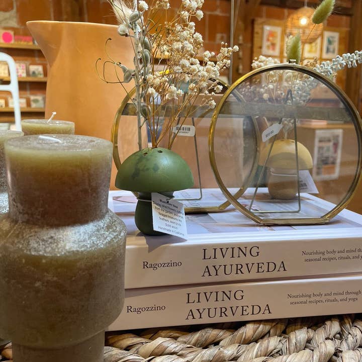 Stacy Wong - Wholesale Vase - Small Mushroom Dry Flower+ Ikebana Vase8