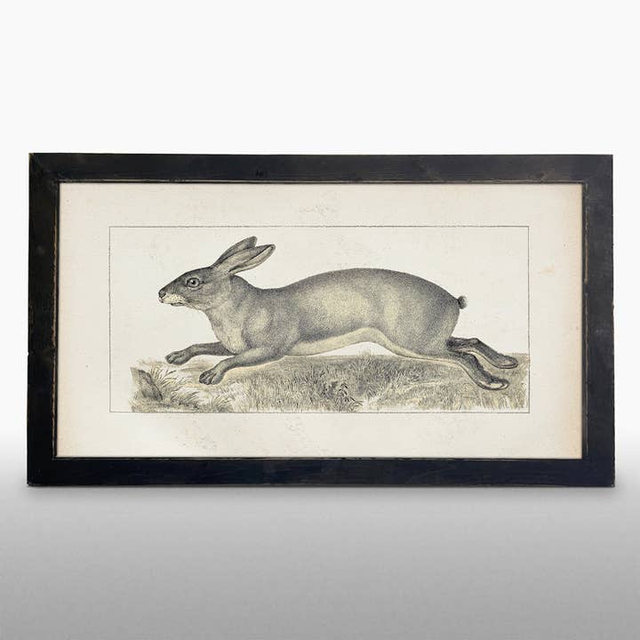 Vintage-long ear bunny for wholesale by ginger blue