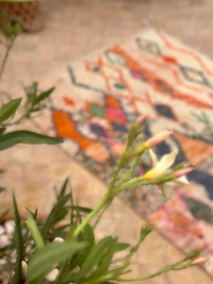 JNOUN Alfombra Boujad 2 | 188 x 108 cm para venta al por mayor de SOUK in the CITY