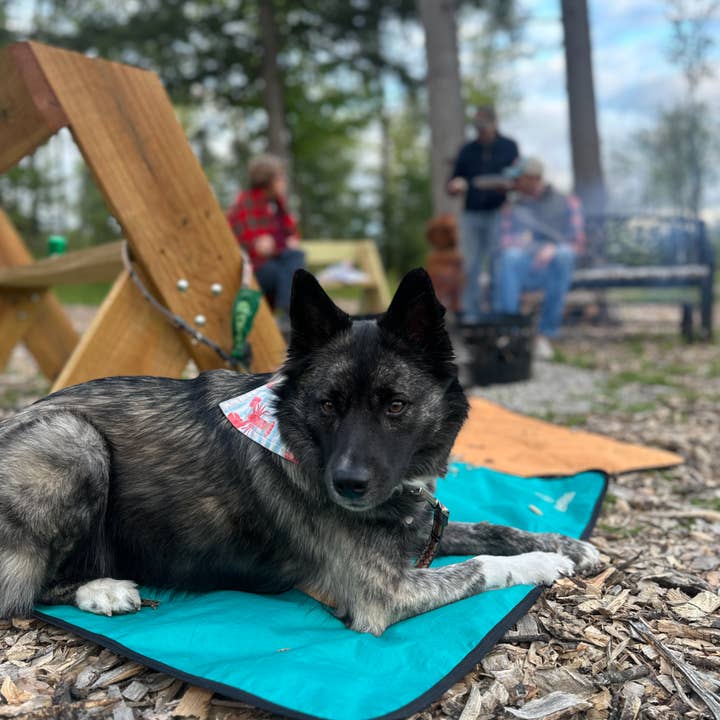 LUWELLO, LLC - Wholesale Pet Bed - Dog - Portable Dog Settle Mat23