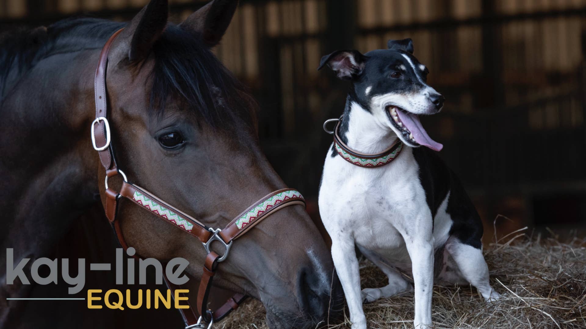 kay-line - Wholesale Horseback Riding Gear - HORSE Halter - Leather WHITE PULSE - brown2