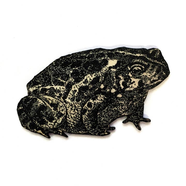 Toad Engraved Magnet for wholesale by Toad Hill Farm
