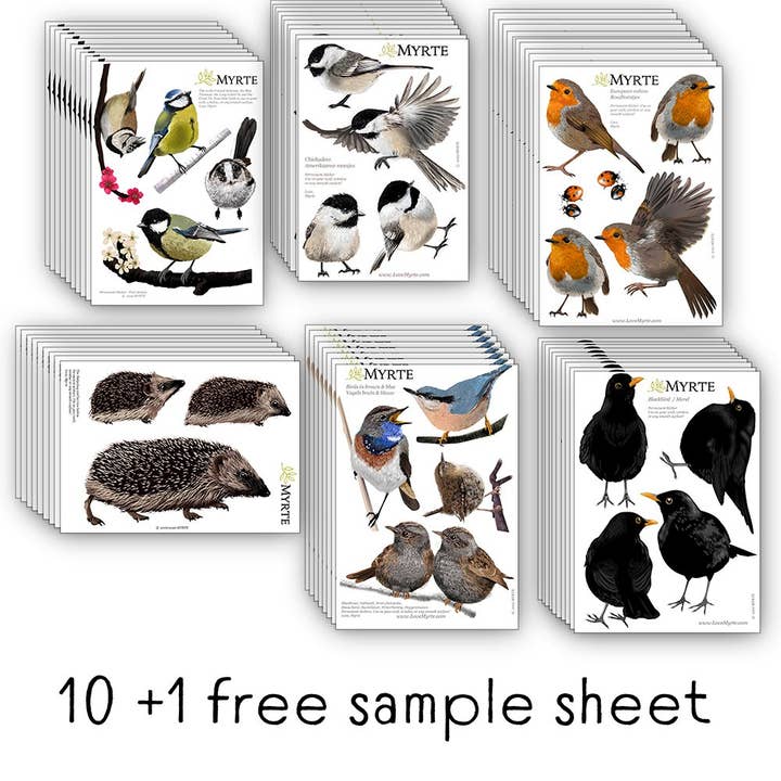 Bestsellers Pack with FREE sample sheet for wholesale by MYRTE