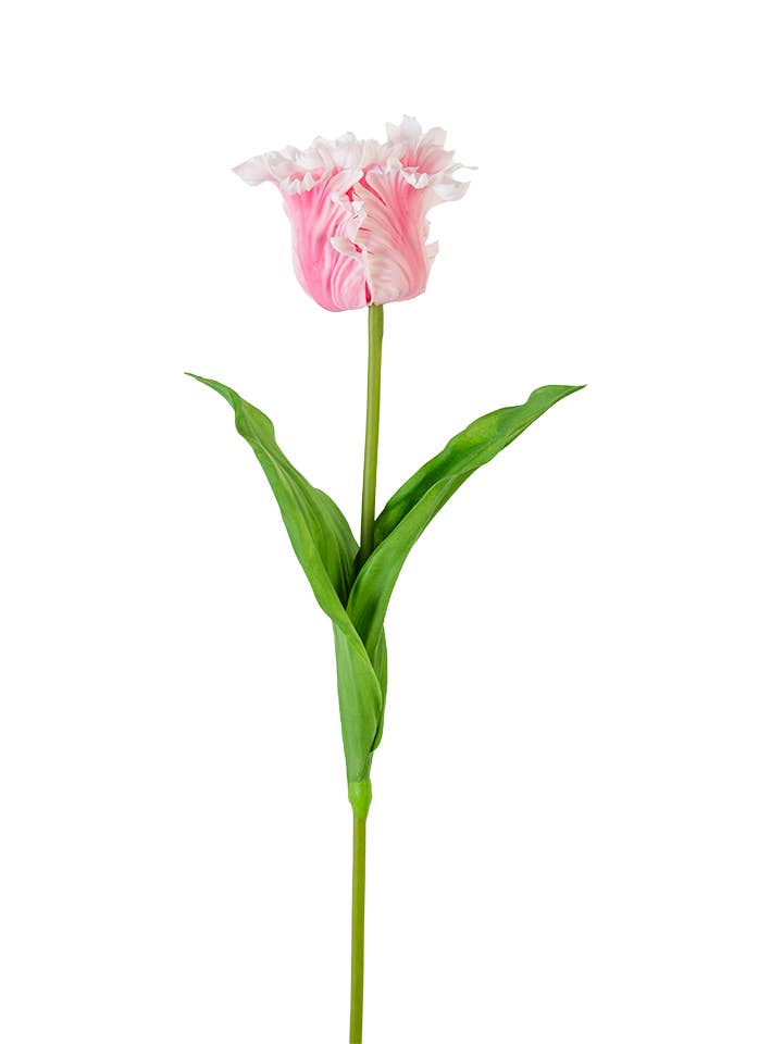 27" PARROT TULIP for wholesale by American Best