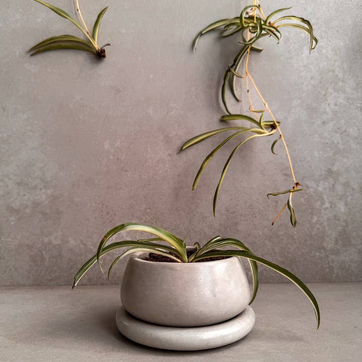 Minimal Loot Design – wholesale Kruka – Liten planteringsmaskin med dränering, söt växtkruka, bubbelplanterare, suckulentplanterare, dekorativ betongkruka, rund bonsaikruka, knubbig minikruka