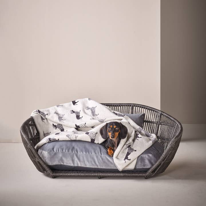 LABONI - Volentis GmbH - Venta al por mayor Edredón - Gatos y perros - TECKEL - MANTA DACHSHUND3