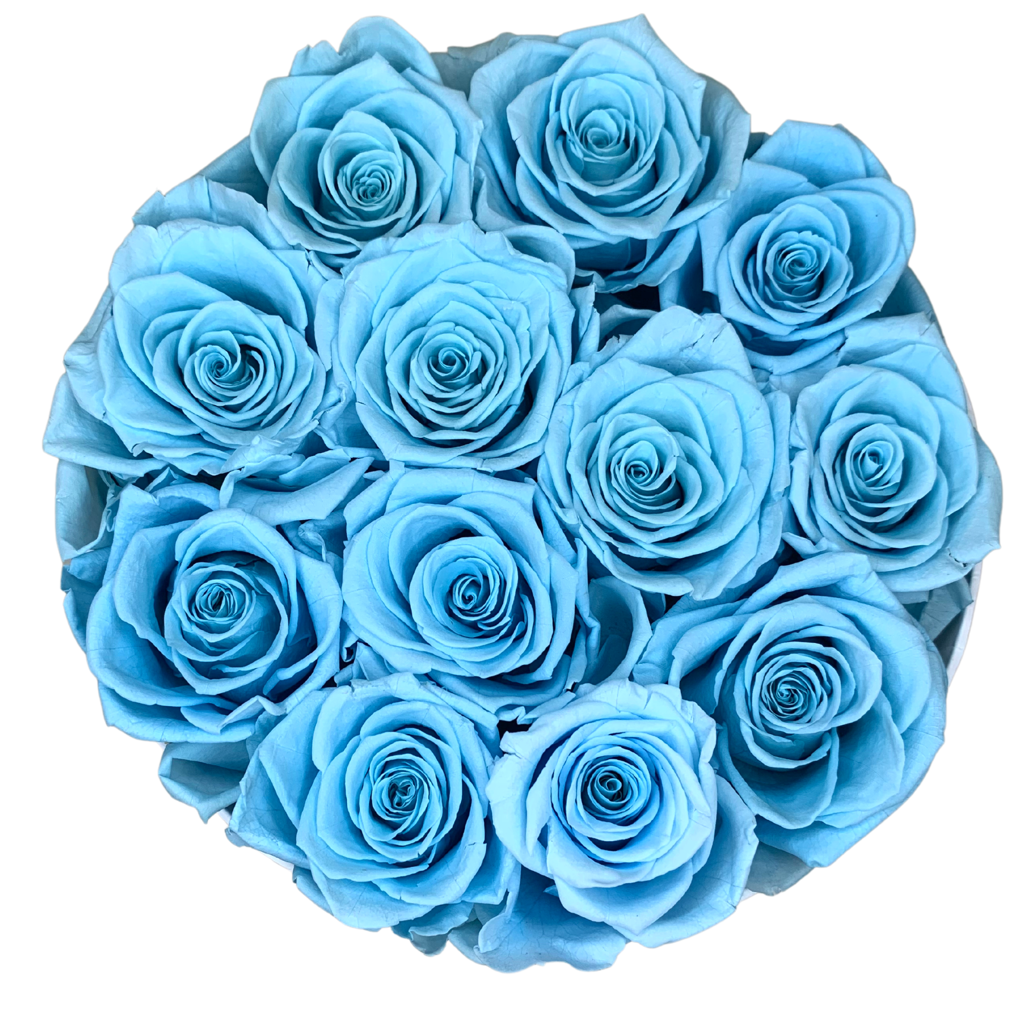 verona home and gift - Wholesale Dried/Pressed Flowers - 12 Real Preserved Roses that Last Forever In Round Box12