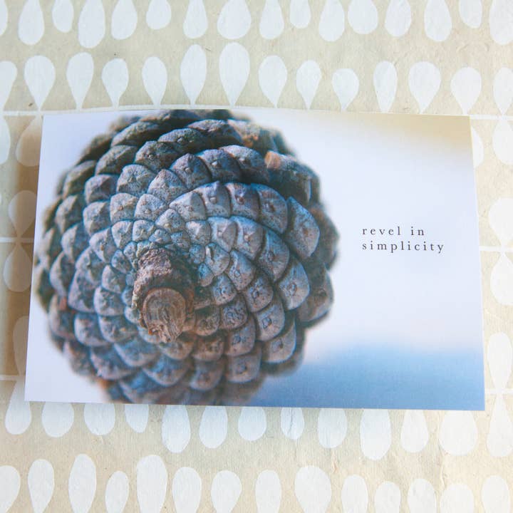 Profitez de la simplicité pour la vente par Banter by Greely Creative