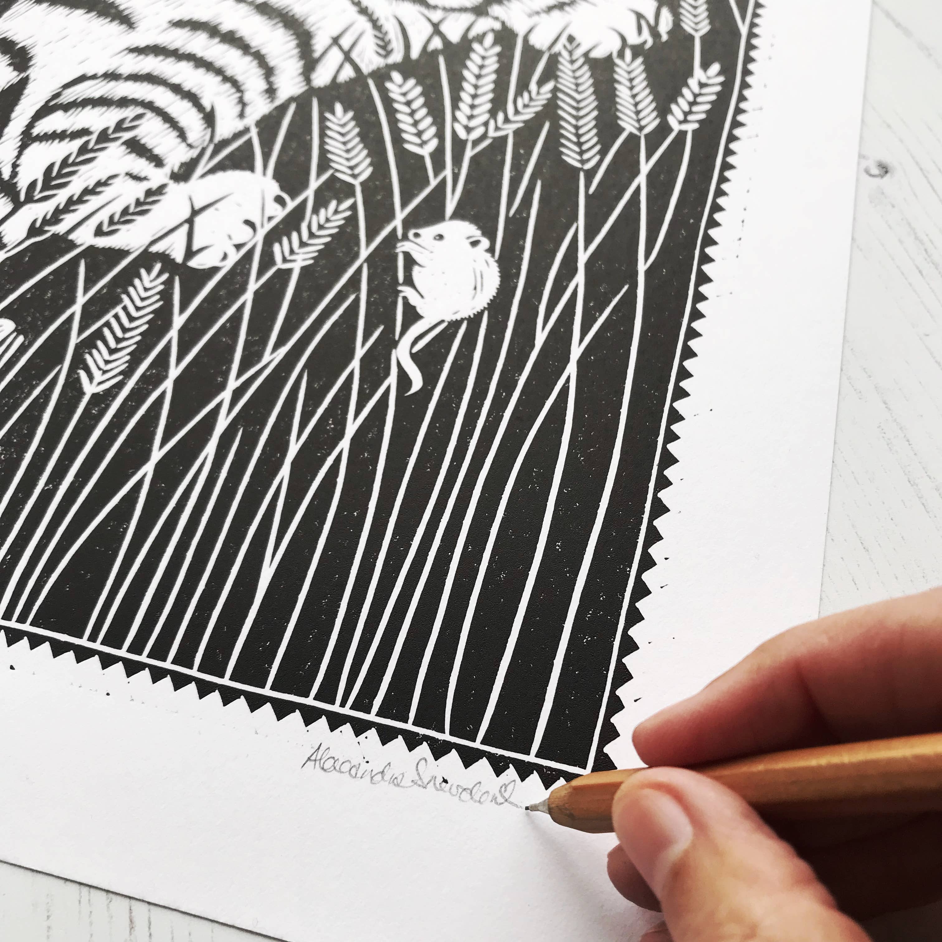 Alexandra Snowdon - Vente Affiche d'art - Motif de chats sauvages écossais4