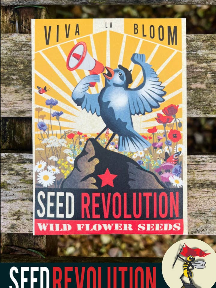 UK Wildflower Seed Mix Viva La Bloom | Native Meadow Flower for wholesale by Seed Revolution