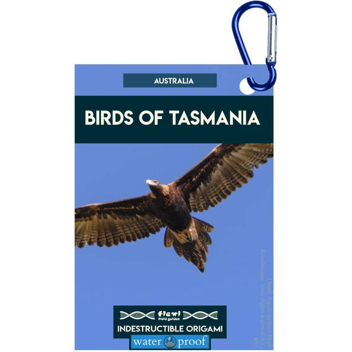 Vogels van Tasmaniƫ-Onverwoestbare Origami voor wholesale door Flexi Field Guides