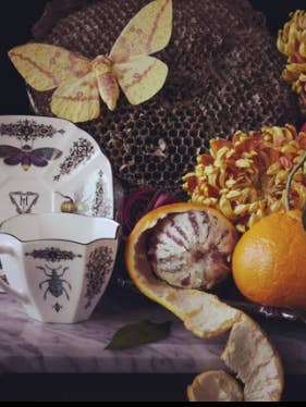 Belle du Jour teacup and saucer for wholesale by misshavishamscuriosities