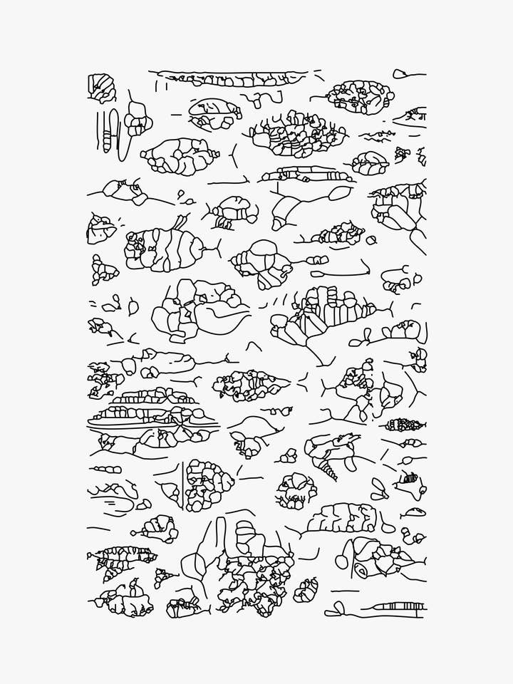 UNSEEN NATURE - REPTILES POSTER for wholesale by Kyriakos Papadopoulos