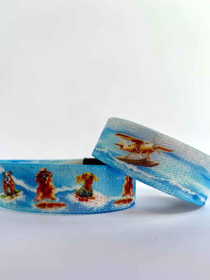 Groupe de Bongos des Chiens Surfeurs pour la vente par Trunkers