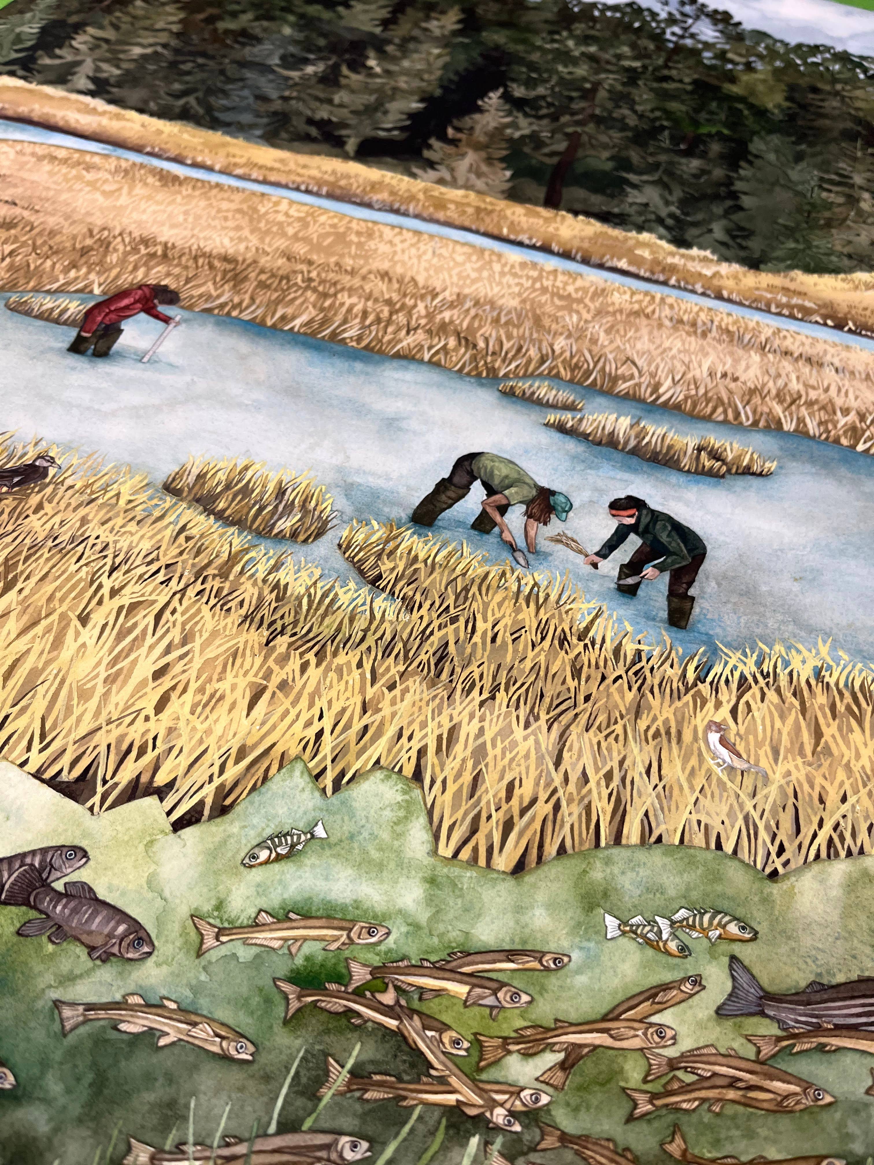 Jill Pelto Art - Wholesale Art Print - Coastal Marsh New England Art Print Set3