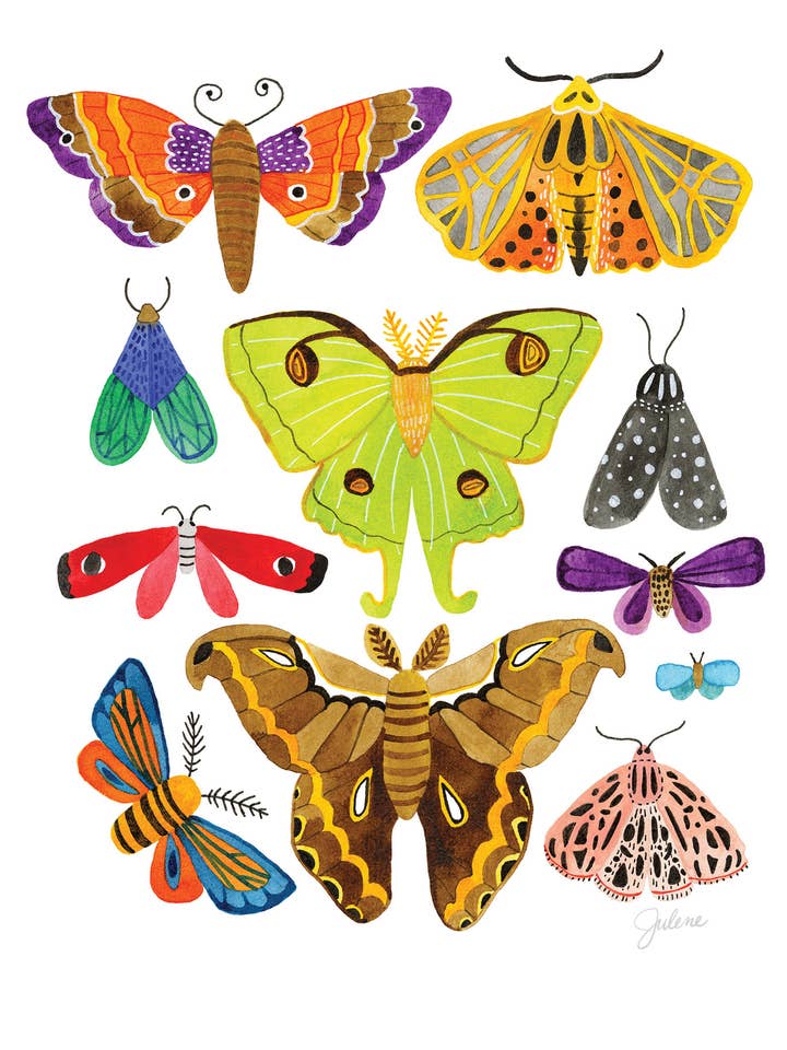 Moths greeting card for wholesale by Julene Ewert