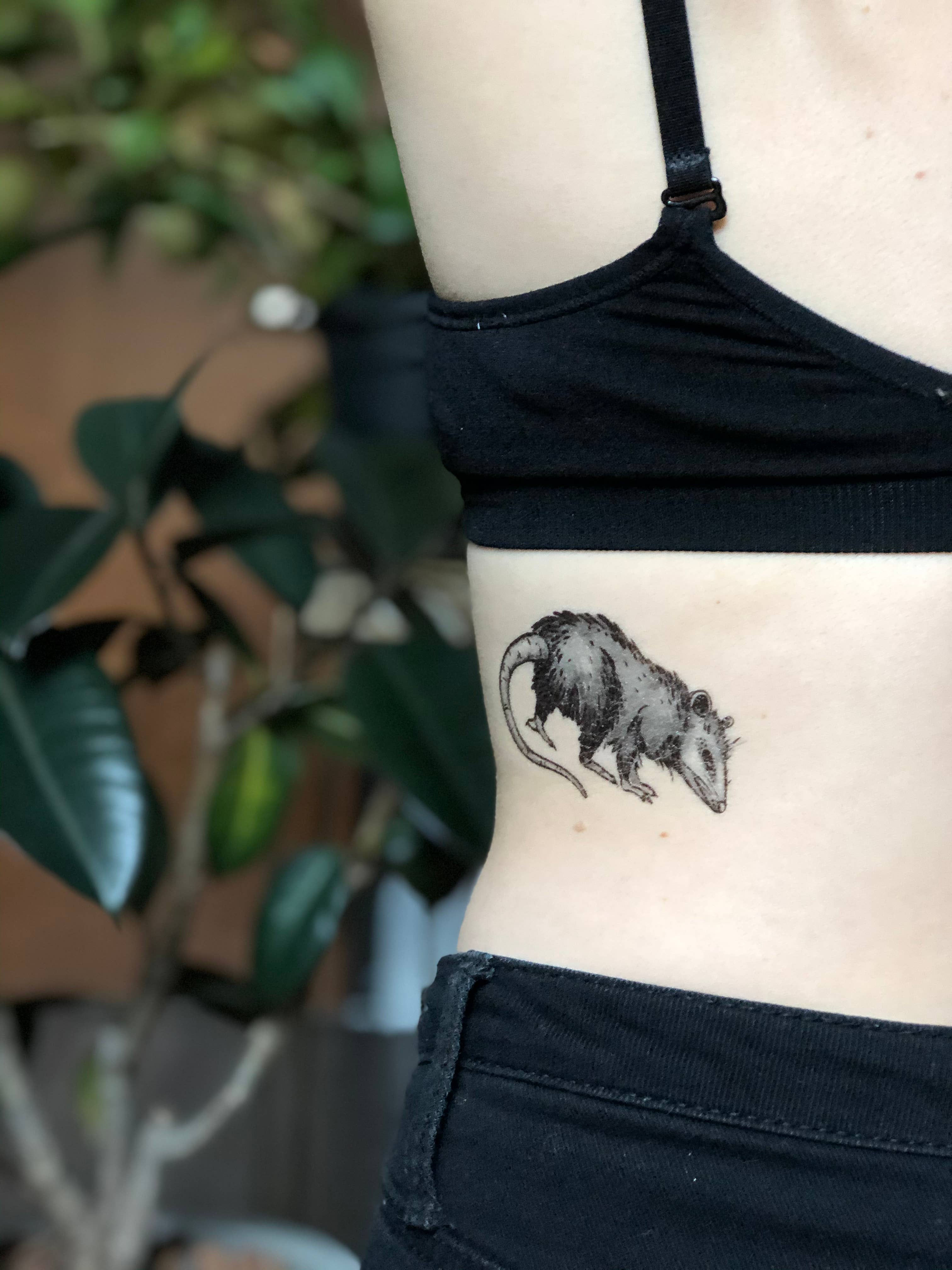 NatureTats - Wholesale Temporary Tattoo - Opossum Temporary Tattoo3