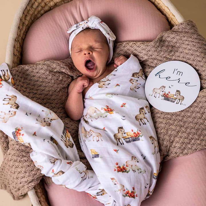 Snuggle Hunny - Wholesale Milestone art/keepsake – Child & baby - Pony Pals & Pebble Reversible Milestone Cards1